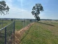 View Images