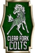 Clear Fork Valley Local School District