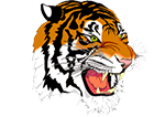 Mansfield City Schools