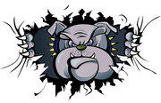 Ririe School District 252